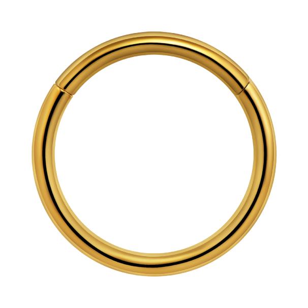 Titanium Plain Hinged Seamless Hoop for Nose, Ear, Lip Piercings