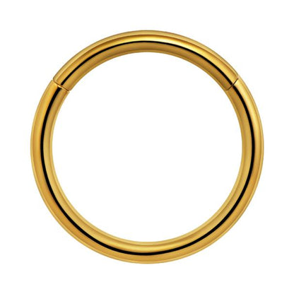 Titanium Plain Hinged Seamless Hoop for Nose, Ear, Lip Piercings