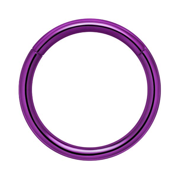 Titanium Plain Hinged Seamless Hoop for Nose, Ear, Lip Piercings