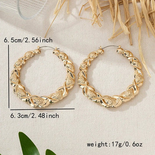 New Punk Hollow Circle Earrings, Exaggerated Creative Design, Fashion Bohemian Style, Women's Ear Jewelry, Animal Print Earrings, Statement Earrings, Ear Accessories