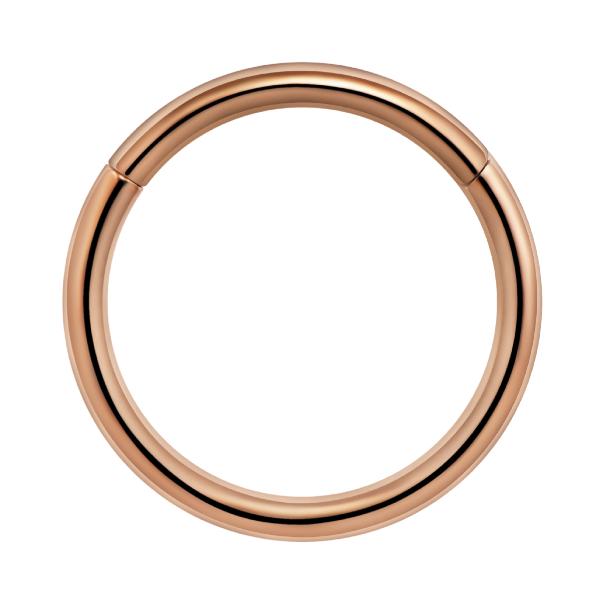Titanium Plain Hinged Seamless Hoop for Nose, Ear, Lip Piercings
