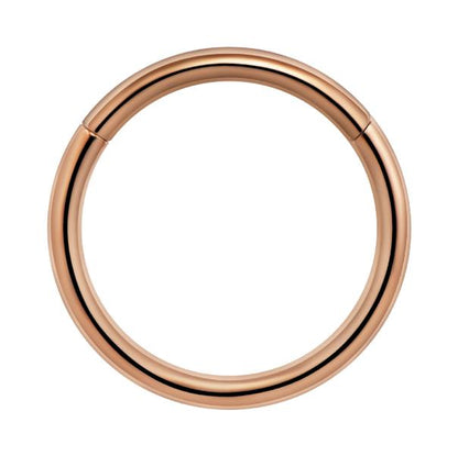 Titanium Plain Hinged Seamless Hoop for Nose, Ear, Lip Piercings